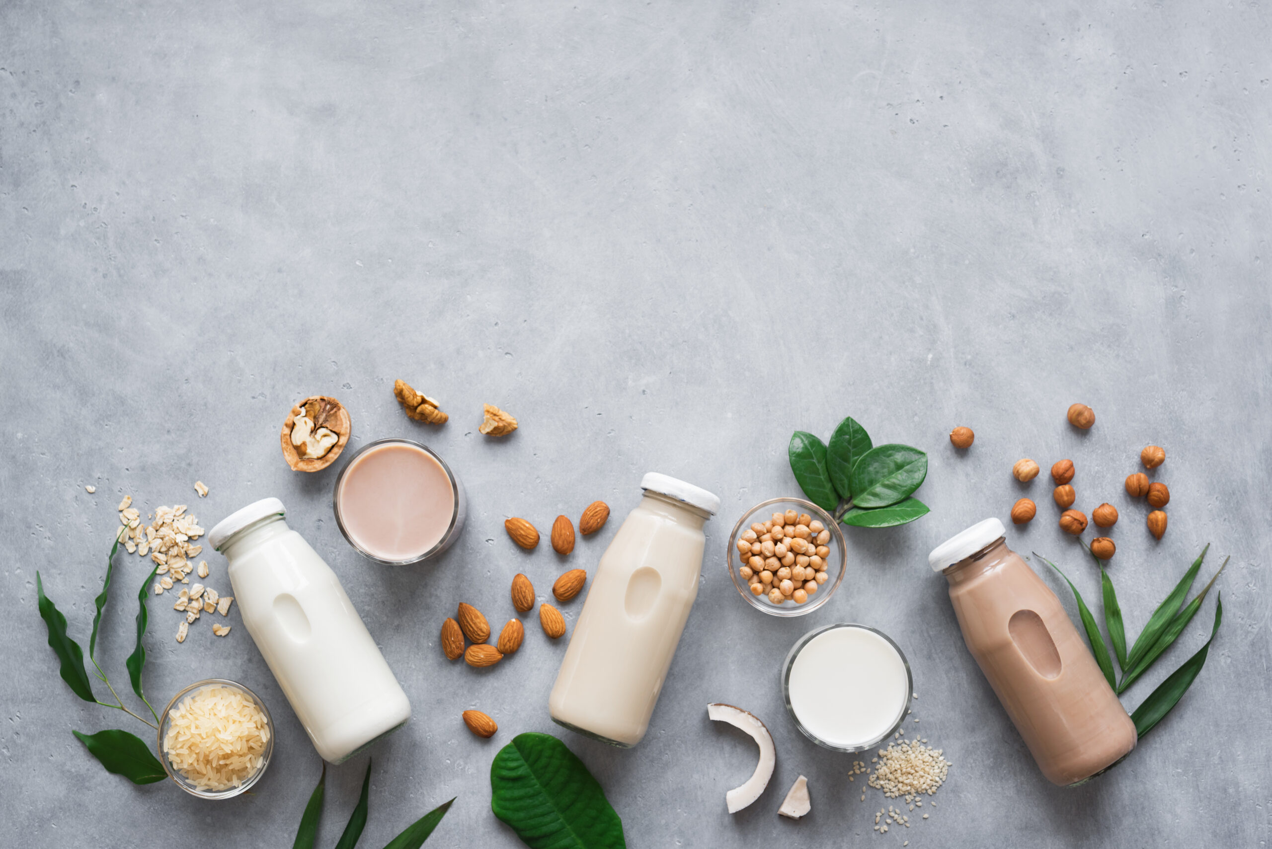 Yes Whey or No Whey? Demystifying Plant-Based & Whey Proteins